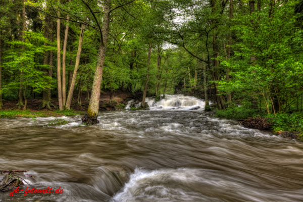 Selkewasserfall bei Alexisbad Hochwasser