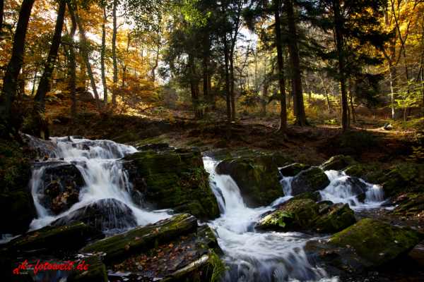 Selkewasserfall im Harz