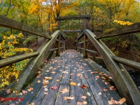 Lampenbrücke im Selketal