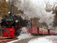 Harzer Schmalspurbahn Selketalbahn im Winter