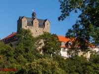 Schloss Ballenstedt