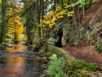 Selketal-Stieg im herbstlichen Gewand