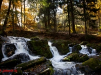 Selkewasserfall im Harz