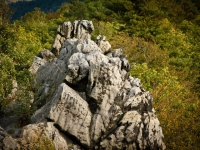 Blick vom Teufelsmauerstieg