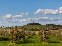 Gegensteine bei Ballenstedt