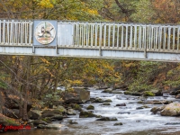 Bode, Bodetal bei Thale