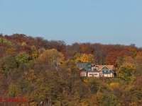 Blick in das Bodetal vom Hexentanzplatz mit herbstlicher laubfärbung