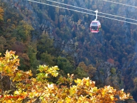 Blick in das Bodetal vom Hexentanzplatz mit herbstlicher laubfärbung