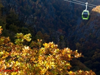 Blick in das Bodetal vom Hexentanzplatz mit herbstlicher laubfärbung