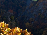 Blick in das Bodetal vom Hexentanzplatz mit herbstlicher laubfärbung