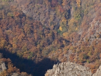 Blick in das Bodetal vom Hexentanzplatz mit herbstlicher laubfärbung