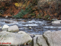 Bode, Bodetal bei Thale