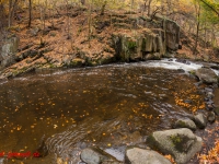 Fotokus Fotoworkshop Bodetal Harz (31 von 37)