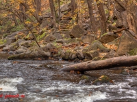 Fotokus Fotoworkshop Bodetal Harz (32 von 37)