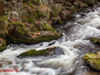 Fotokus Fotoworkshop Bodetal Harz (36 von 37)