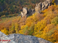 Blick vom Hexentanzplatz in das Bodetal / Harz