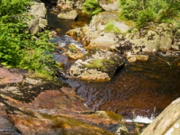 Bach Steinerne Renne Harz