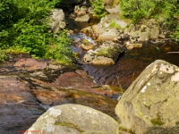 Bach Steinerne Renne Harz