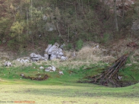 Beschilderung Rundwanderweg Karstlandschaft Südharz