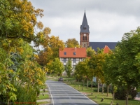 Blick über Friedrichsbrunn im Harz