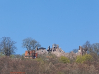 Blick auf die Burgruine Hohnstein Neustadt Harz