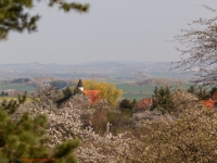 Blick auf die Teufelsmauer