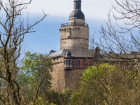 Blick aus dem Selketal auf die Burg Falkenstein Harz