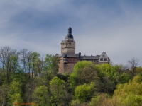 Blick aus dem Selketal auf die Burg Falkenstein Harz