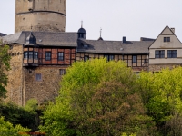 Blick aus dem Selketal auf die Burg Falkenstein Harz