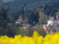 Blick nach Güntersberge im Harz