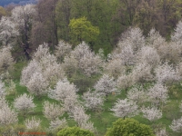 Blick vom Großvaterfelsender Teufelsmauer bei Blankenburg