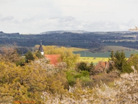 Blick von Timmenrode zur Teufelsmauer