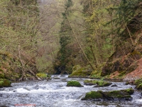 Harzer Hexen-Stieg / Bodetal-Stieg zwischen Treseburg und Thale Bode