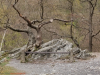 Harzer Hexen-Stieg / Bodetal-Stieg zwischen Treseburg und Thale