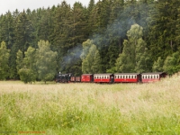 Harzer Schmalspurbahn Selketalbahn