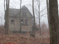 Haus im nebligen Wald stehend