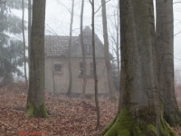 Haus im nebligen Wald stehend