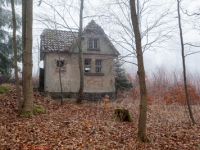 Haus im nebligen Wald stehend