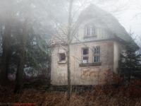 Haus im nebligen Wald stehend