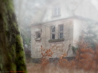 Haus im nebligen Wald stehend