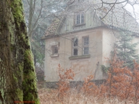 Haus im nebligen Wald stehend