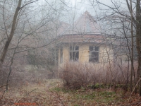 Haus im nebligen Wald stehend