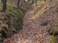 Hohlweg zur Regensteinmühle Harz