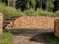 Holzpolter