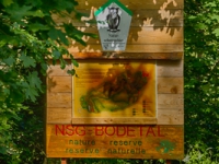 Informationstafel Naturschutzgebiet Bodetal