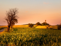 Landschaft in Abendstimmung