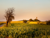 Landschaft in Abendstimmung