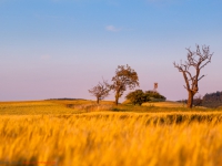 Landschaft in Abendstimmung