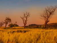 Landschaft in Abendstimmung