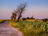 Landschaft in Abendstimmung